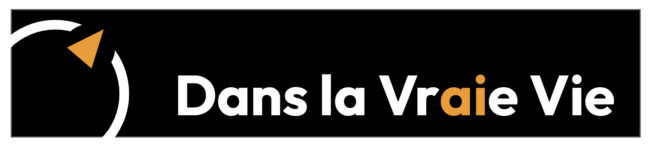 logo dlvv 20 01 2026